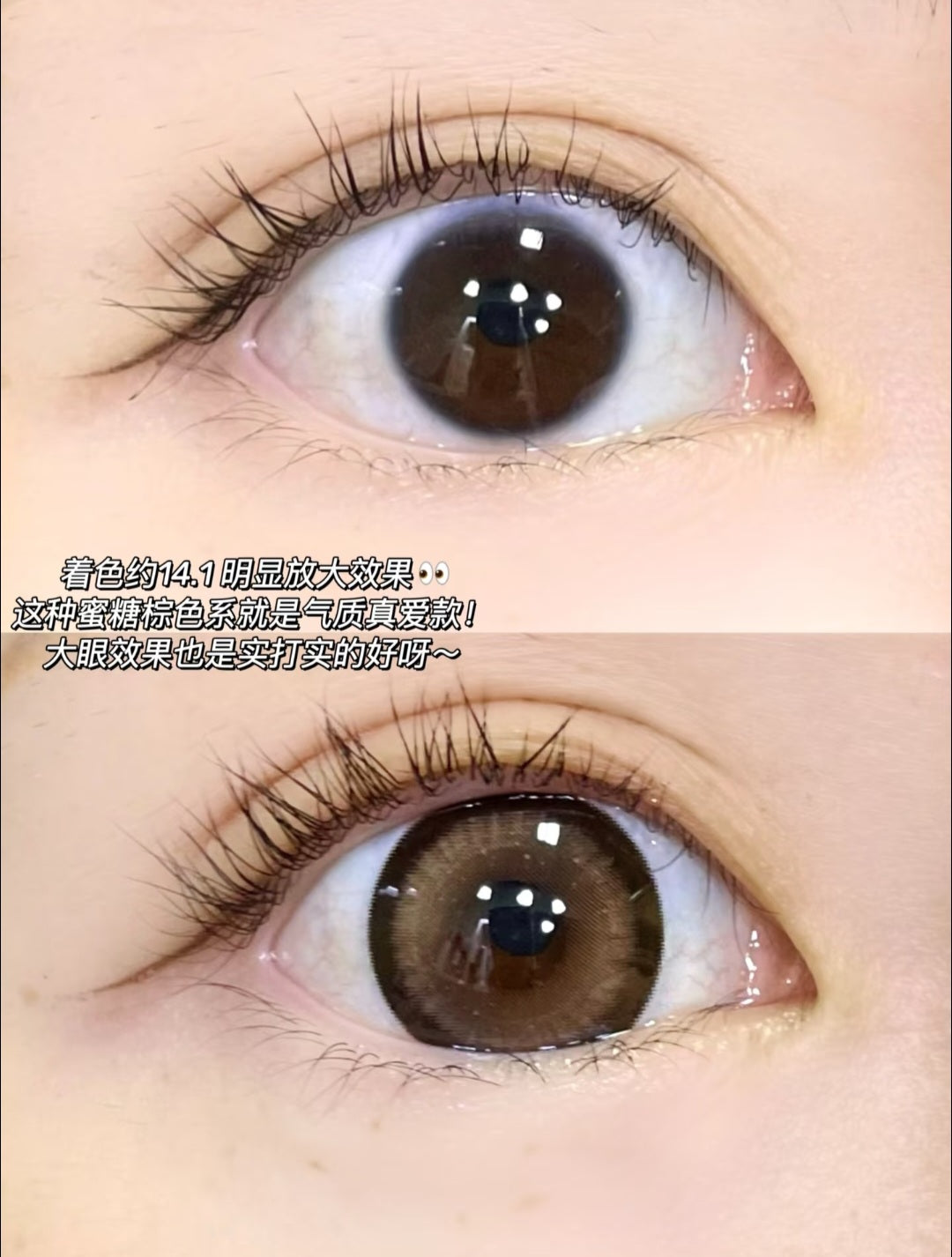 CIRCLE LENSES MODELO CL-86 BROWN