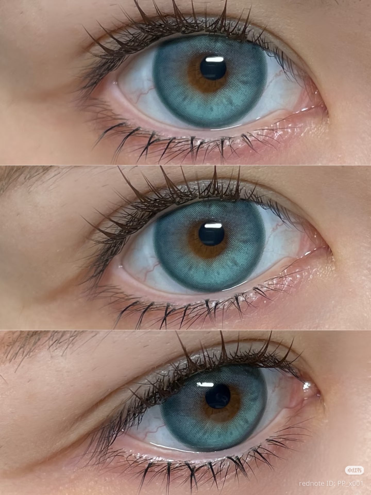 CIRCLE LENSES MODELO CL-76 GREEN
