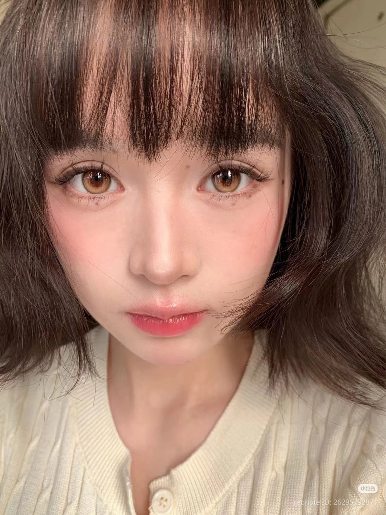CIRCLE LENSES MODELO CL-81 BROWN