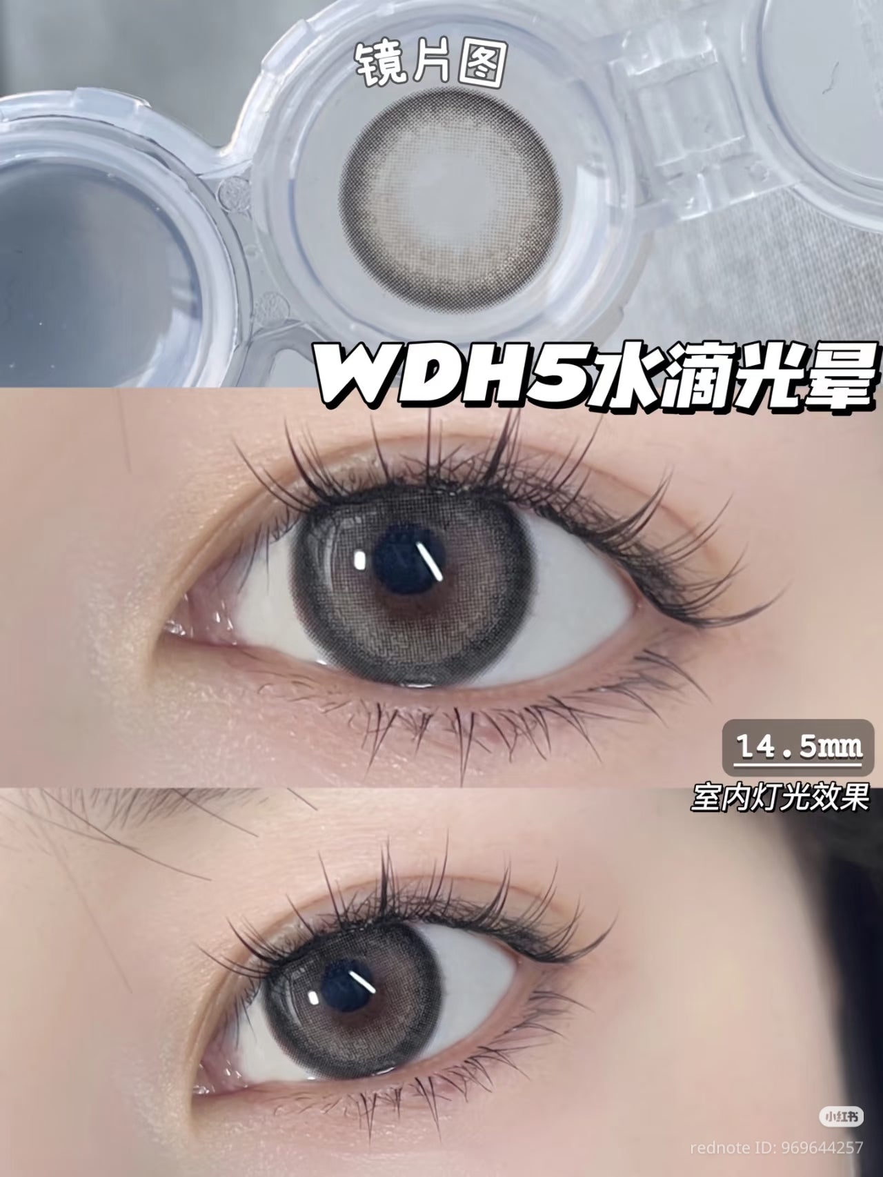 CIRCLE LENSES MODELO CL-85 GRAY