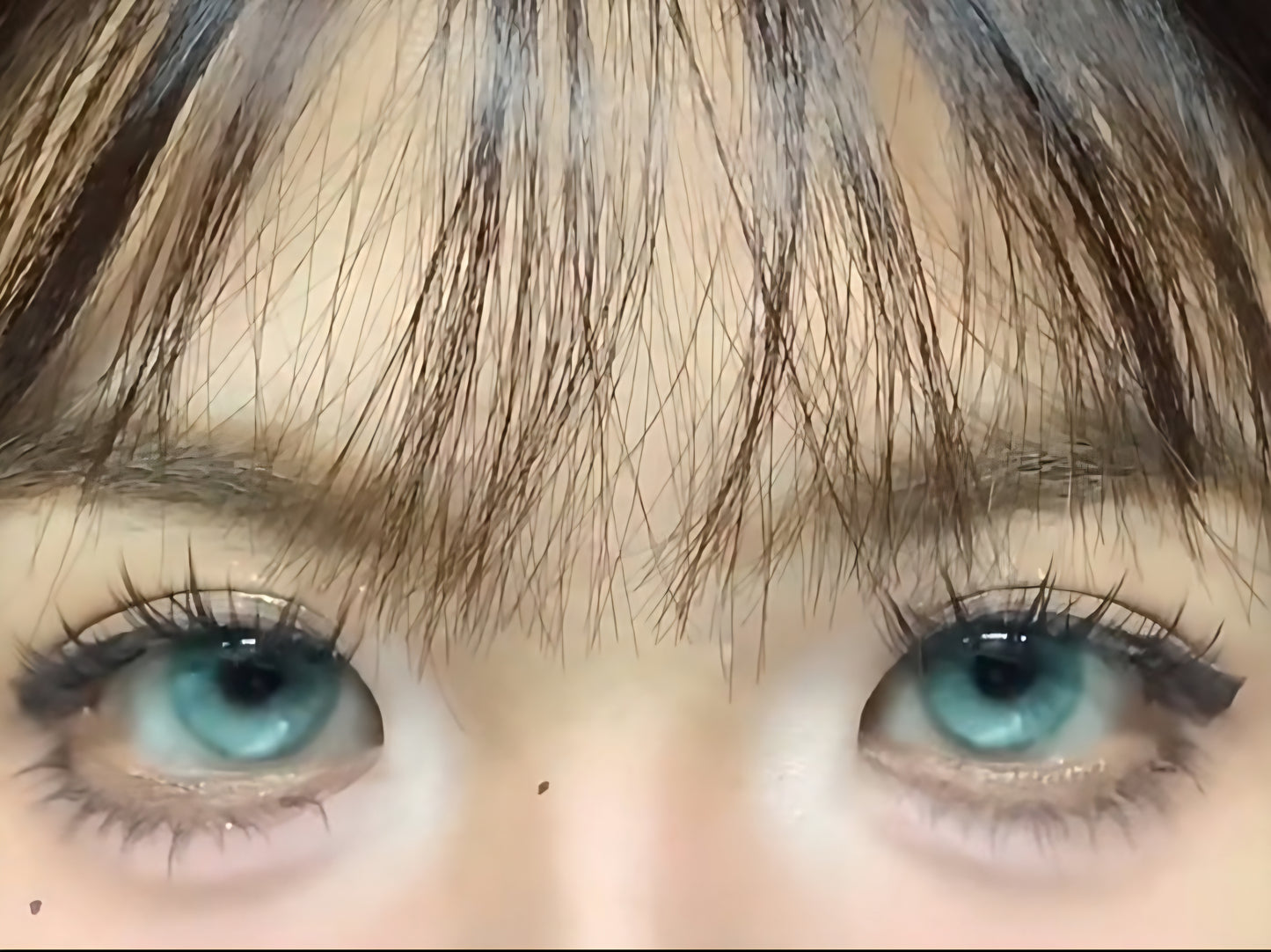 CIRCLE LENSES MODELO CL-84